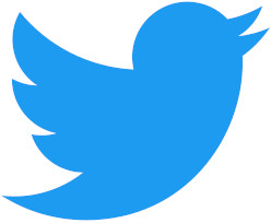 Logo_of_Twitter